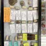 antique inventory